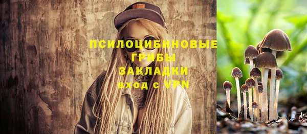 эйфоретик Михайловск